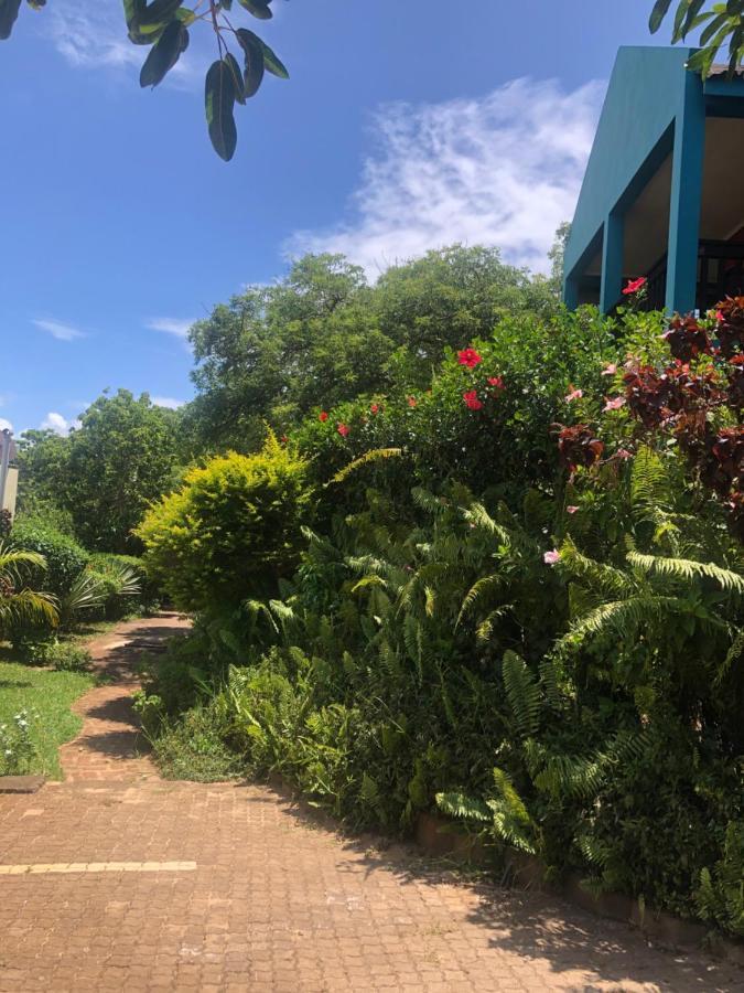 Tri M Waves Lodge Понта-ду-Оуро Экстерьер фото